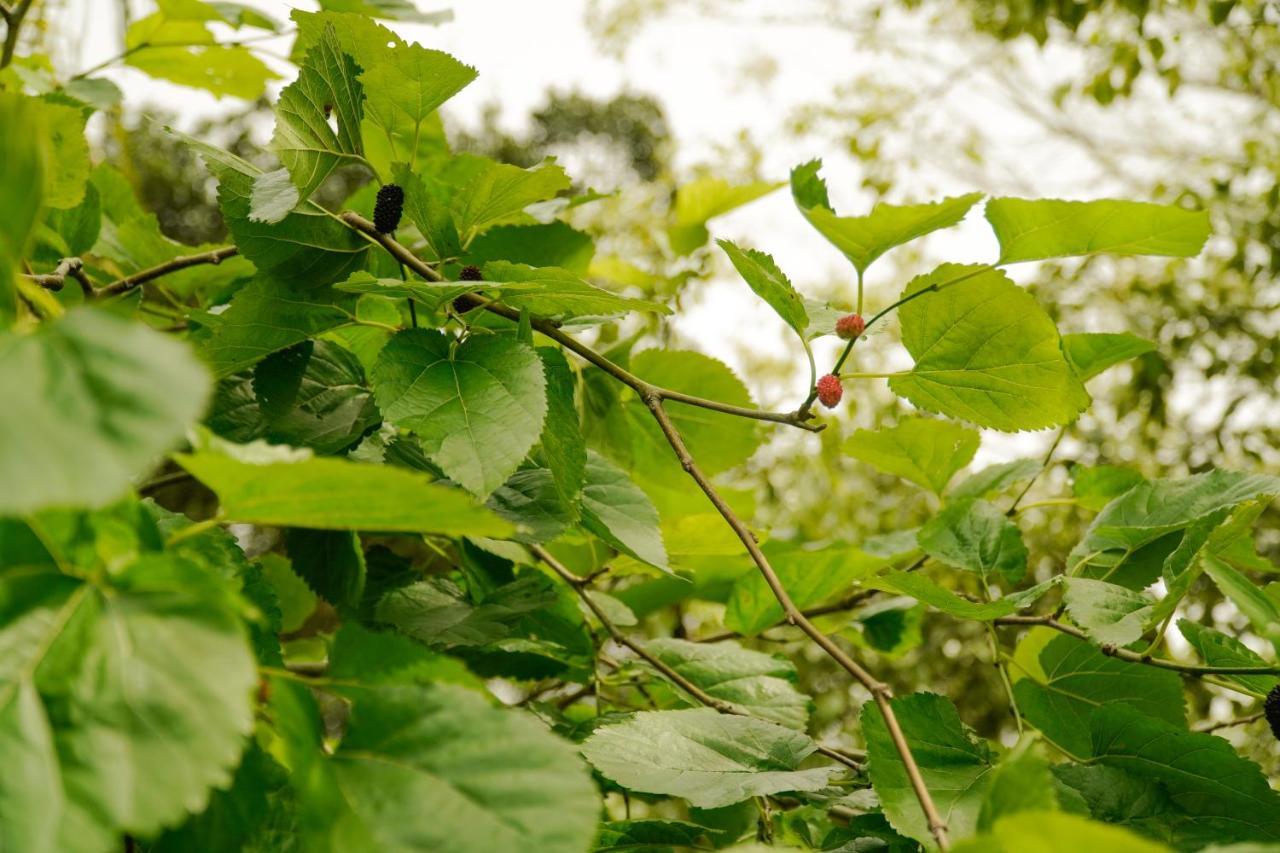 Pousada Dunasol Floripa Florianópolis Zewnętrze zdjęcie