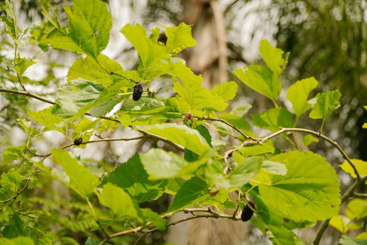 Pousada Dunasol Floripa Florianópolis Zewnętrze zdjęcie
