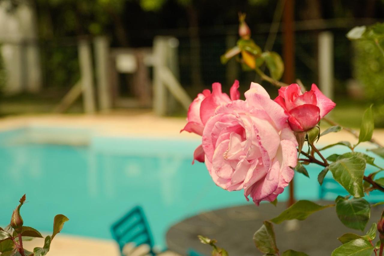 Pousada Dunasol Floripa Florianópolis Zewnętrze zdjęcie