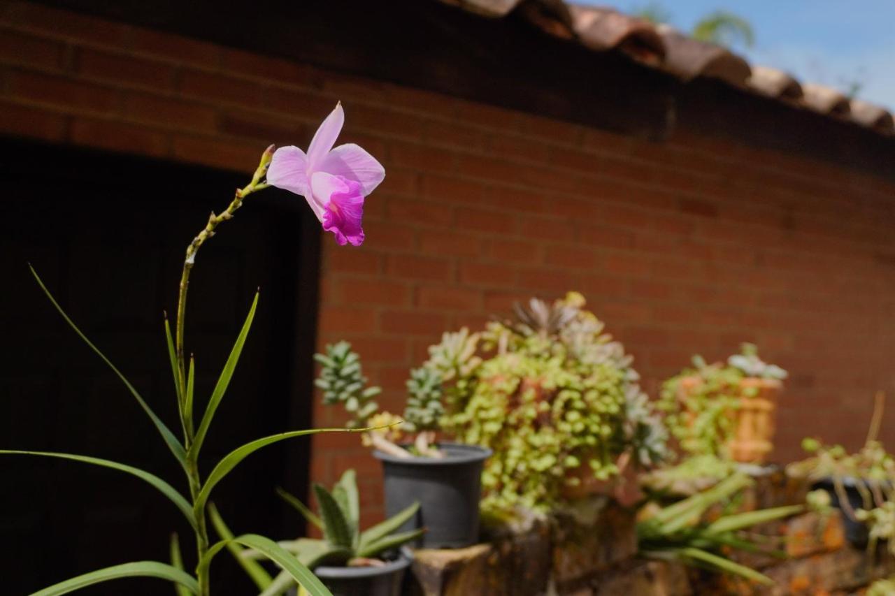 Pousada Dunasol Floripa Florianópolis Zewnętrze zdjęcie